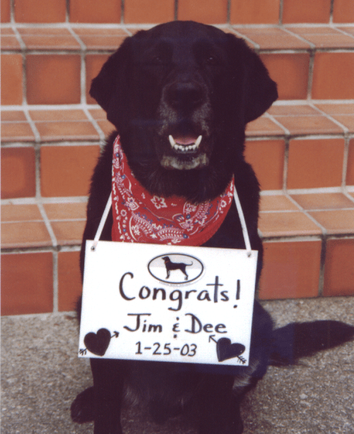 Gus for Dee and Jim's Wedding