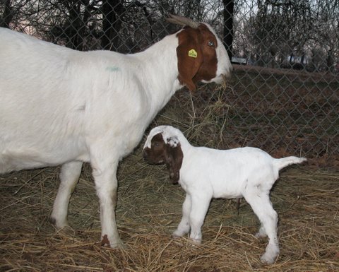 New kid on the block