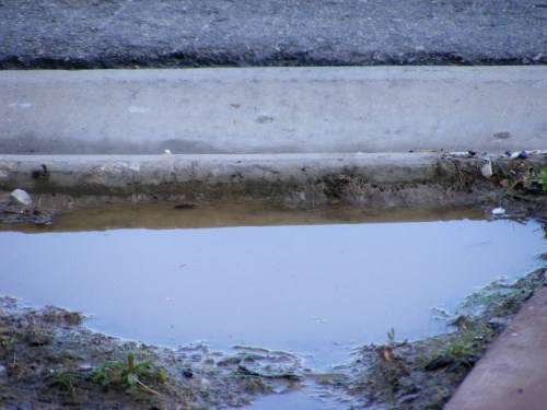 Olympic Lap Pool, Park City