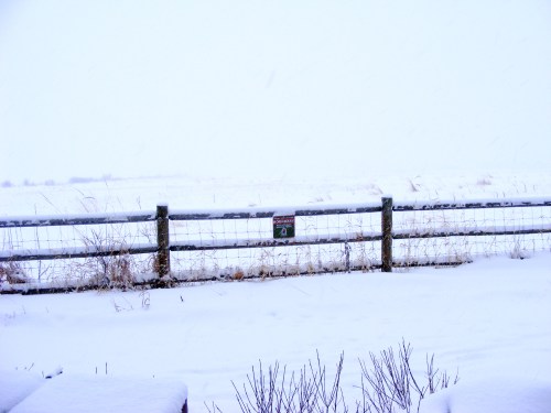 View to Nature Preserve